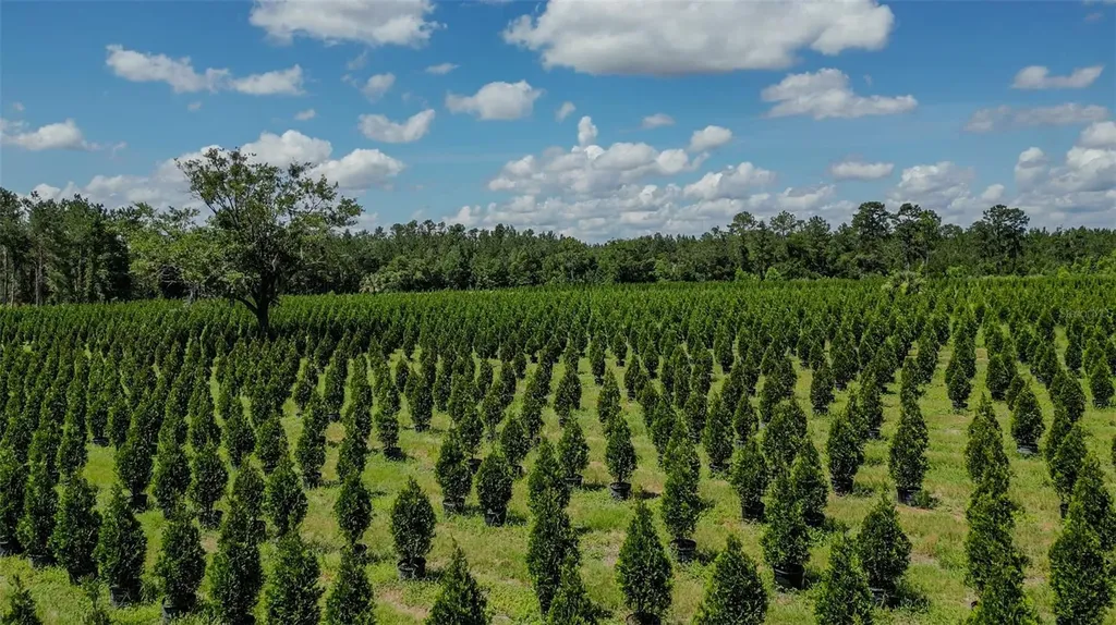 White Springs FL 32096