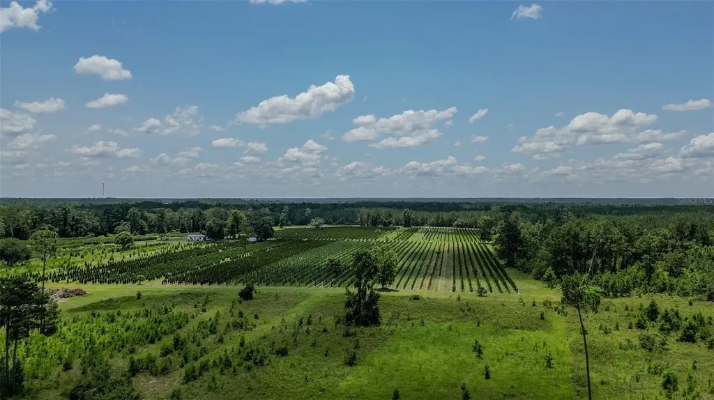 White Springs FL 32096