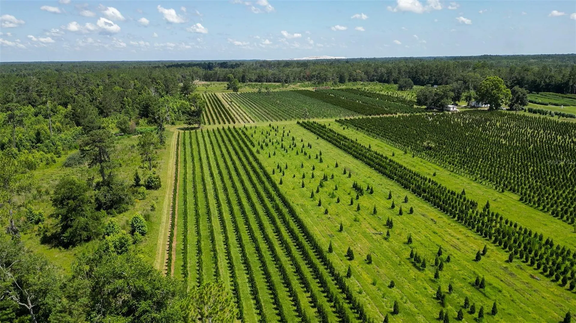 White Springs FL 32096