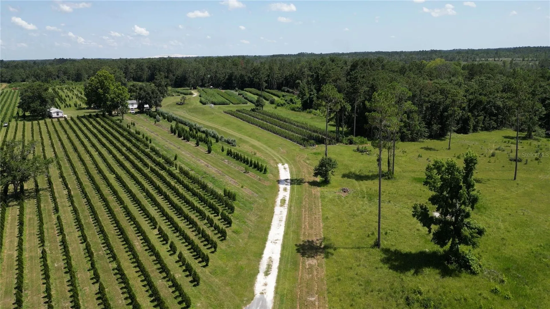 White Springs FL 32096