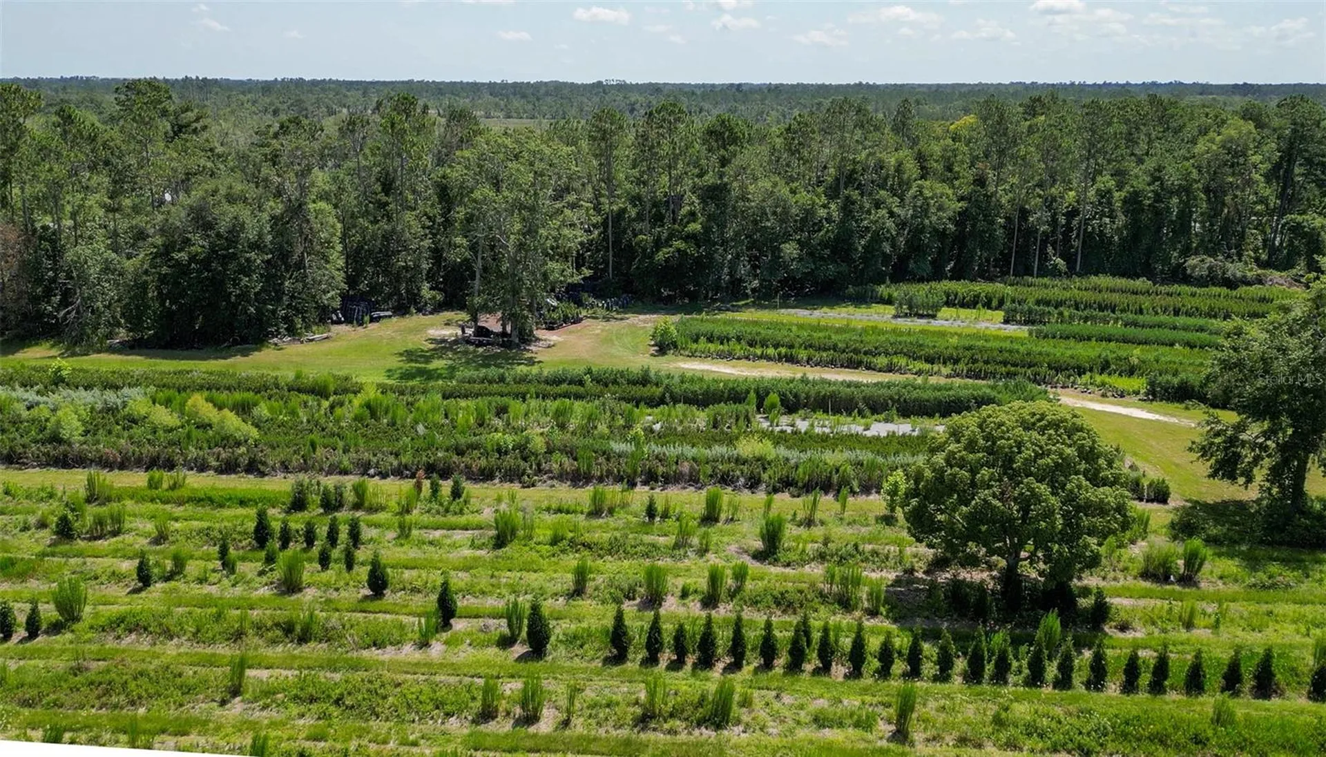White Springs FL 32096