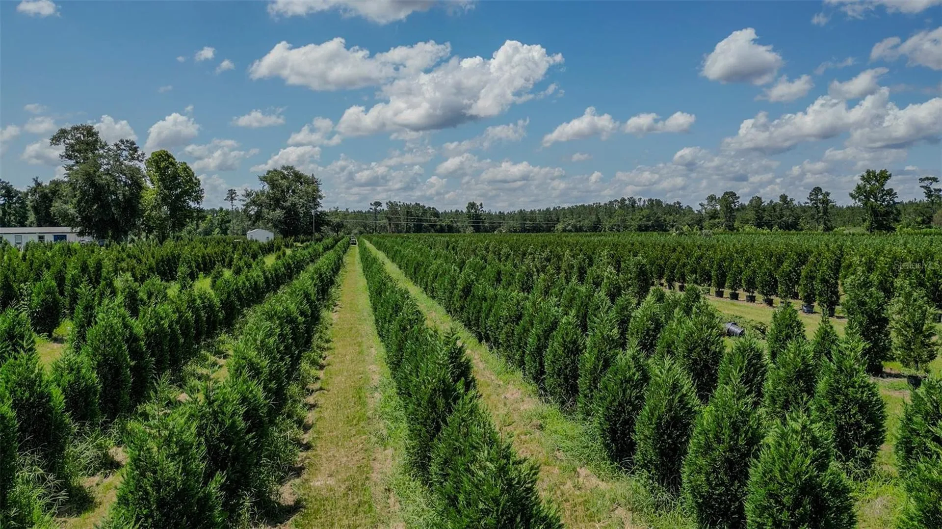 White Springs FL 32096