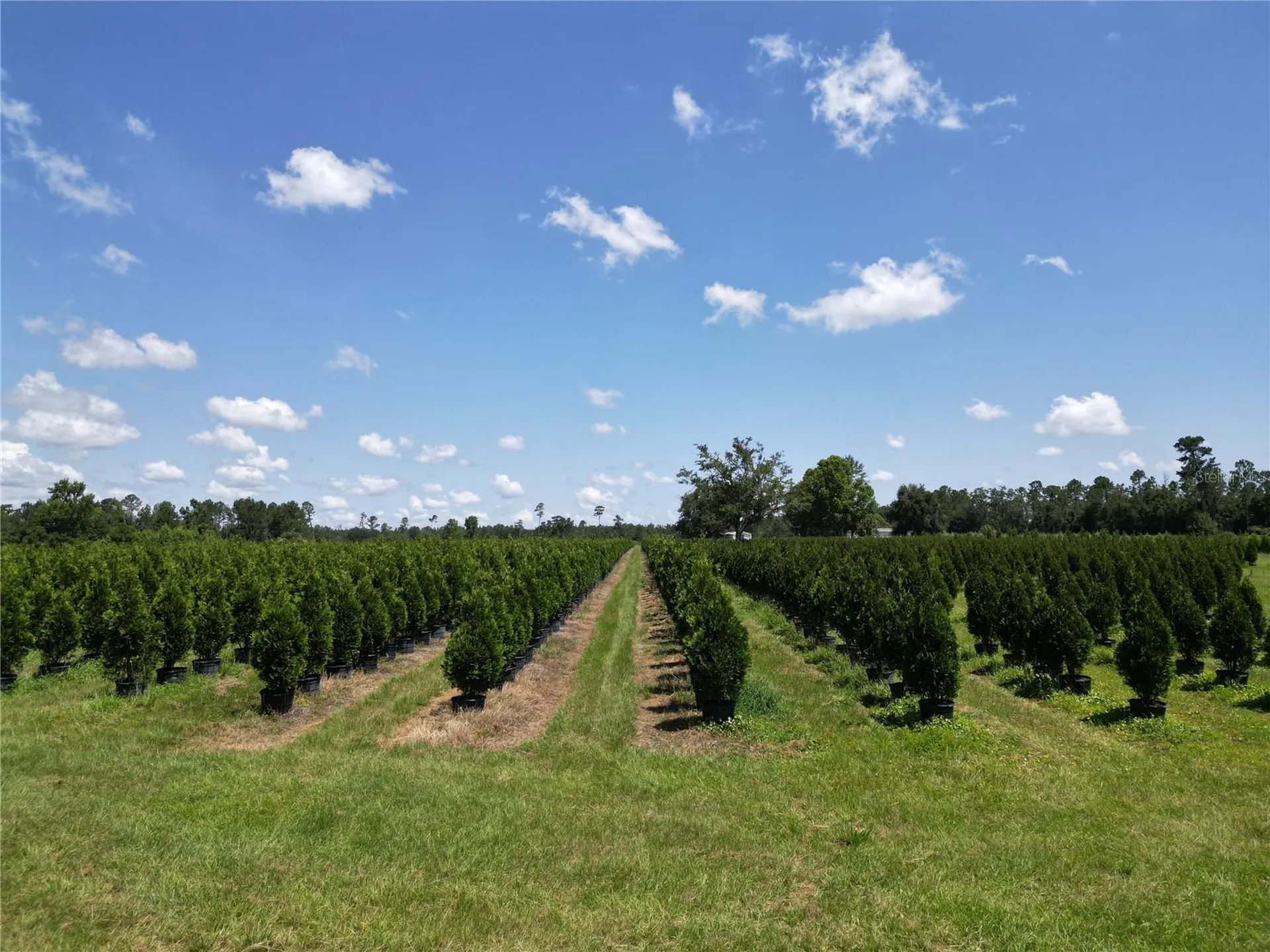 White Springs FL 32096
