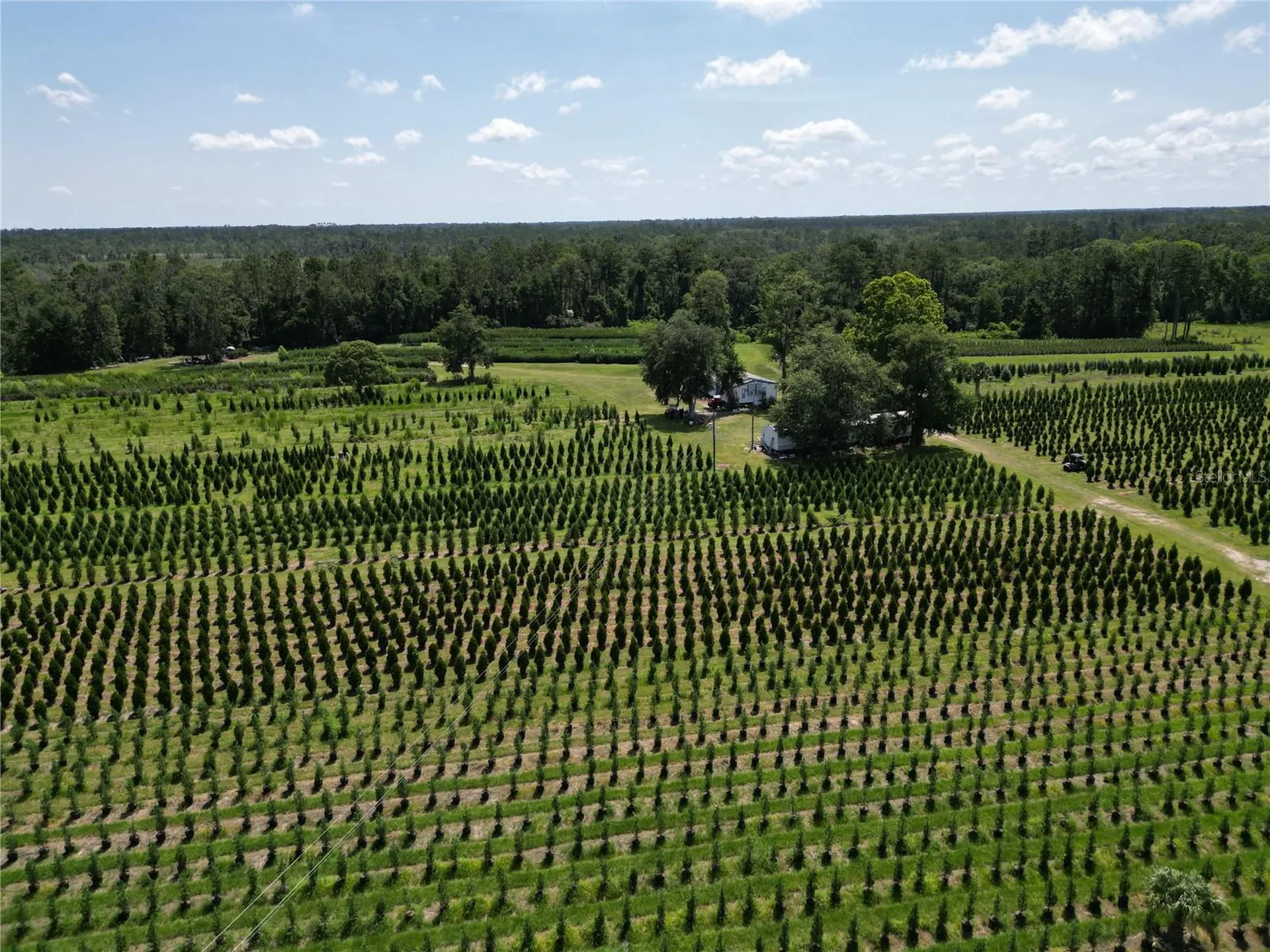 White Springs FL 32096
