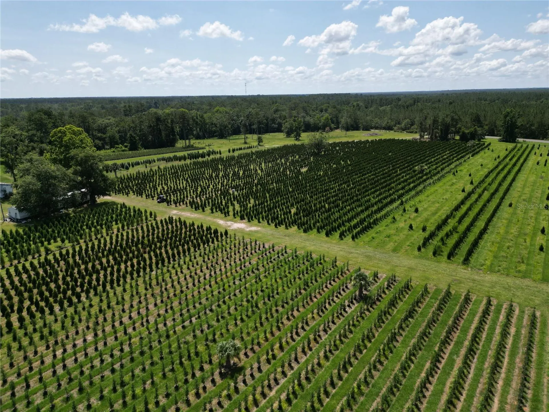 White Springs FL 32096