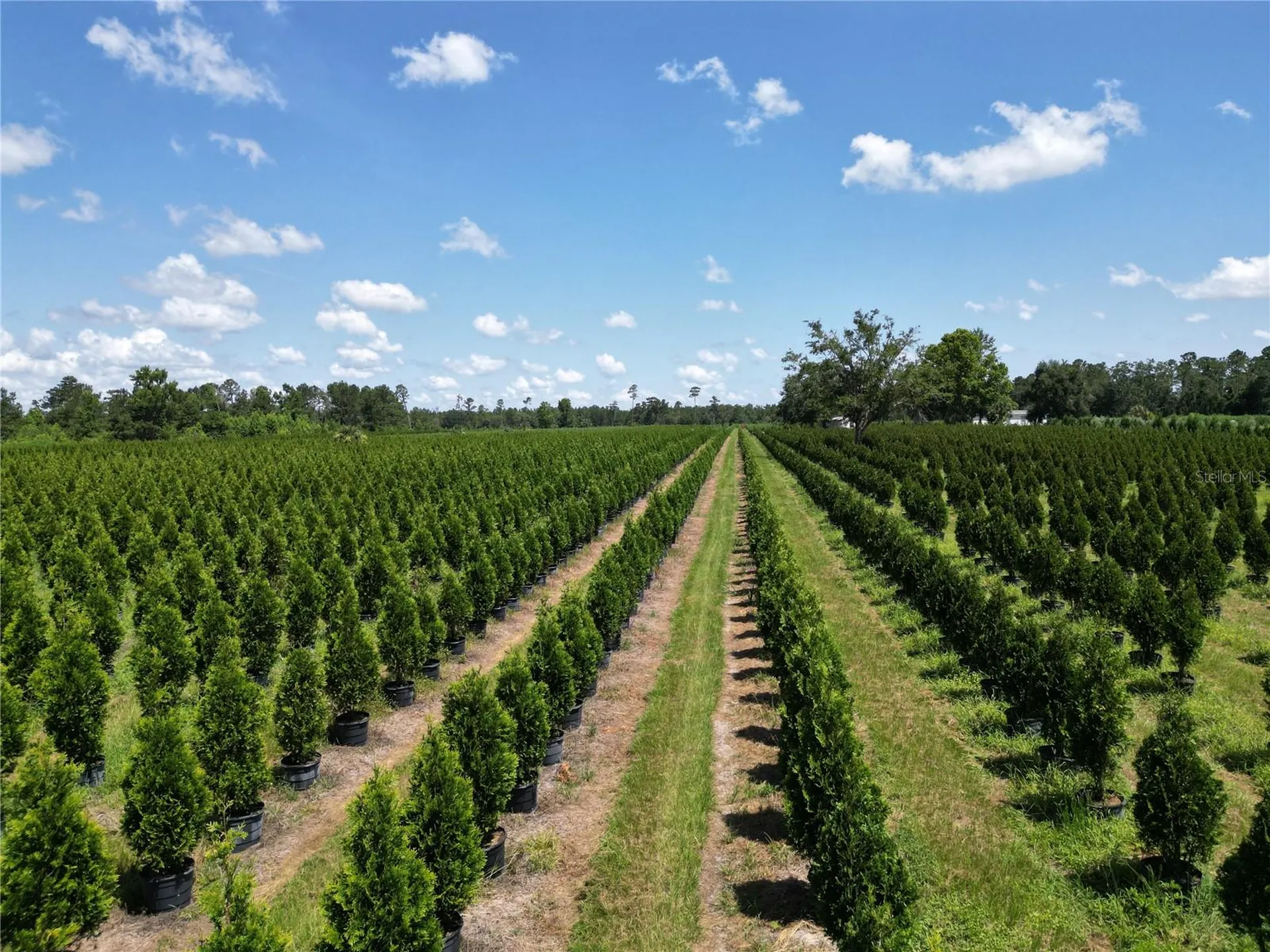 White Springs FL 32096