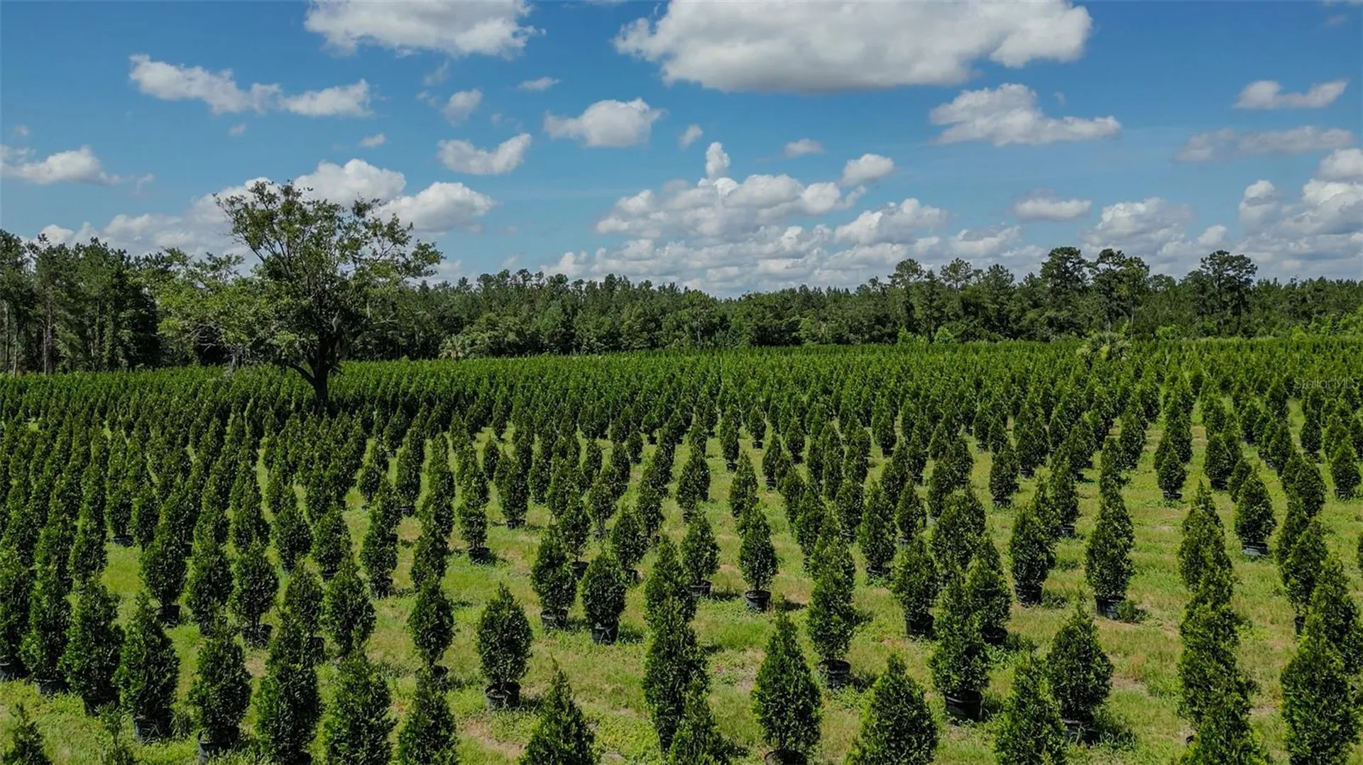 White Springs FL 32096