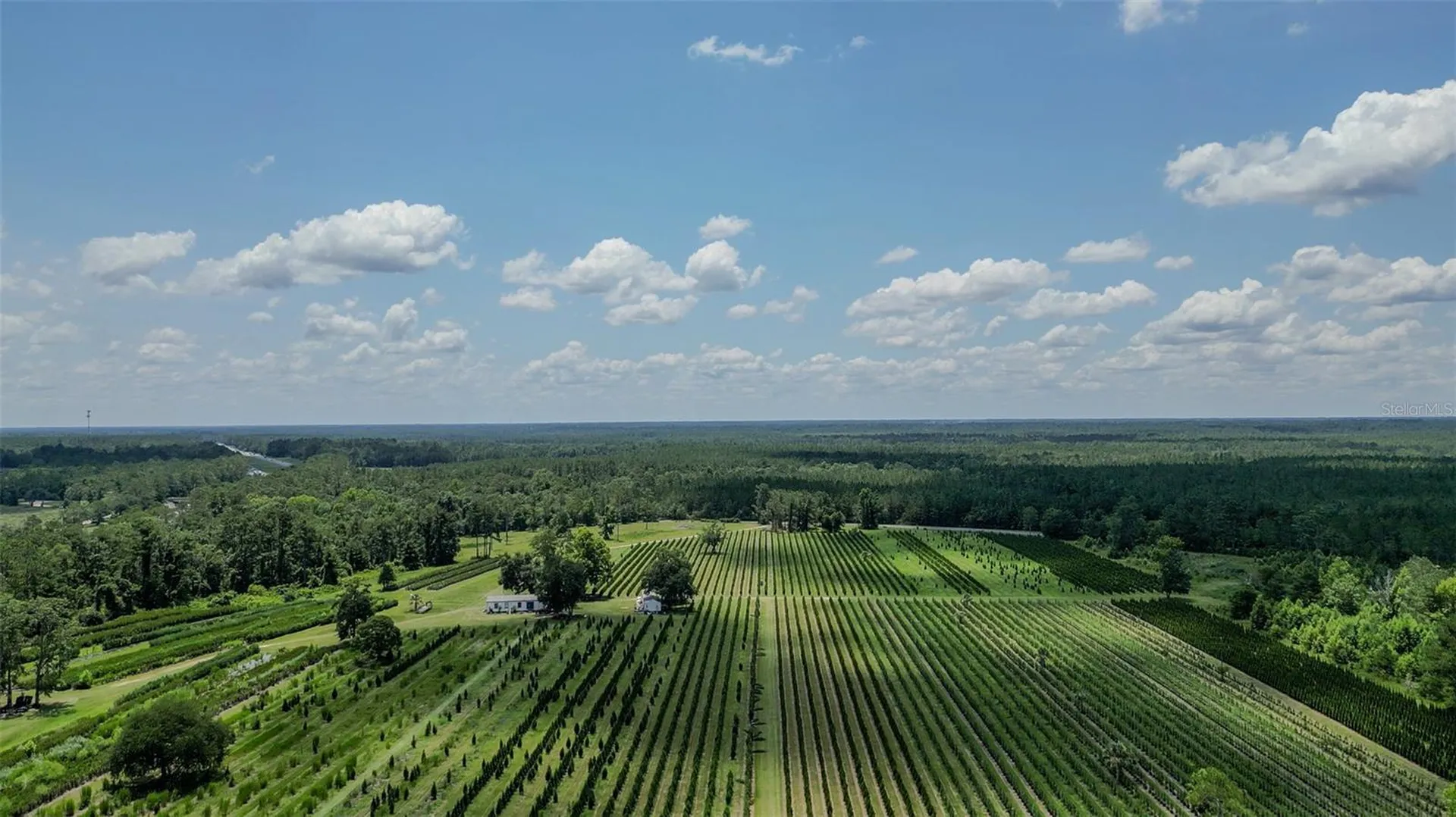 White Springs FL 32096