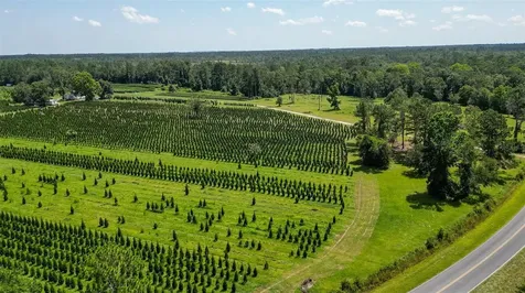 White Springs FL 32096