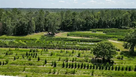 White Springs FL 32096
