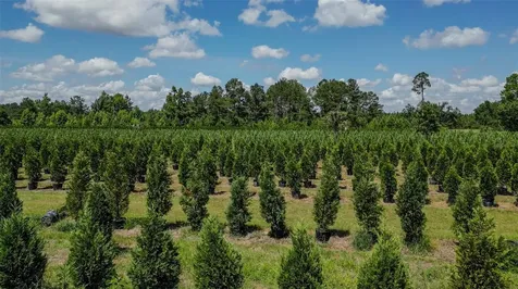 White Springs FL 32096