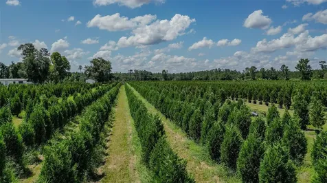 White Springs FL 32096