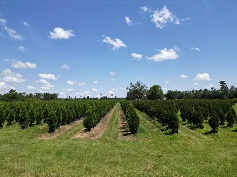 White Springs FL 32096