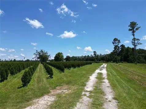 White Springs FL 32096