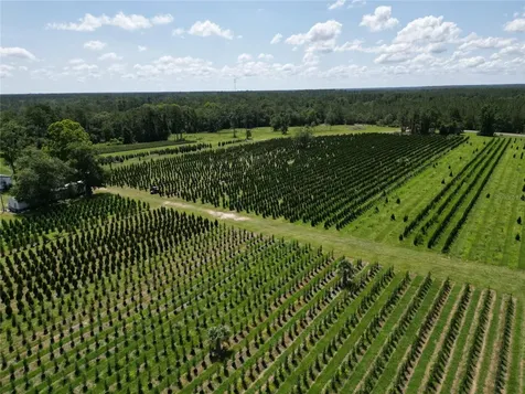 White Springs FL 32096