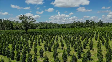 White Springs FL 32096