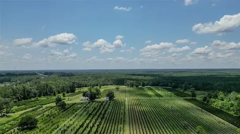 White Springs FL 32096