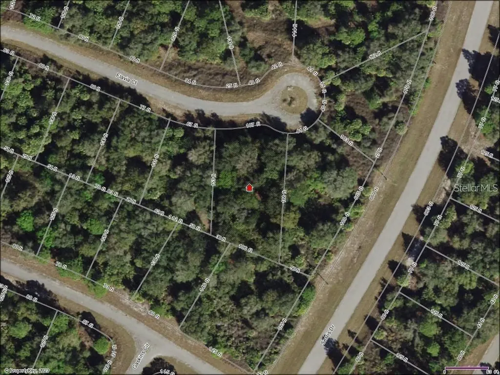 Flavia Court North Port FL 34288