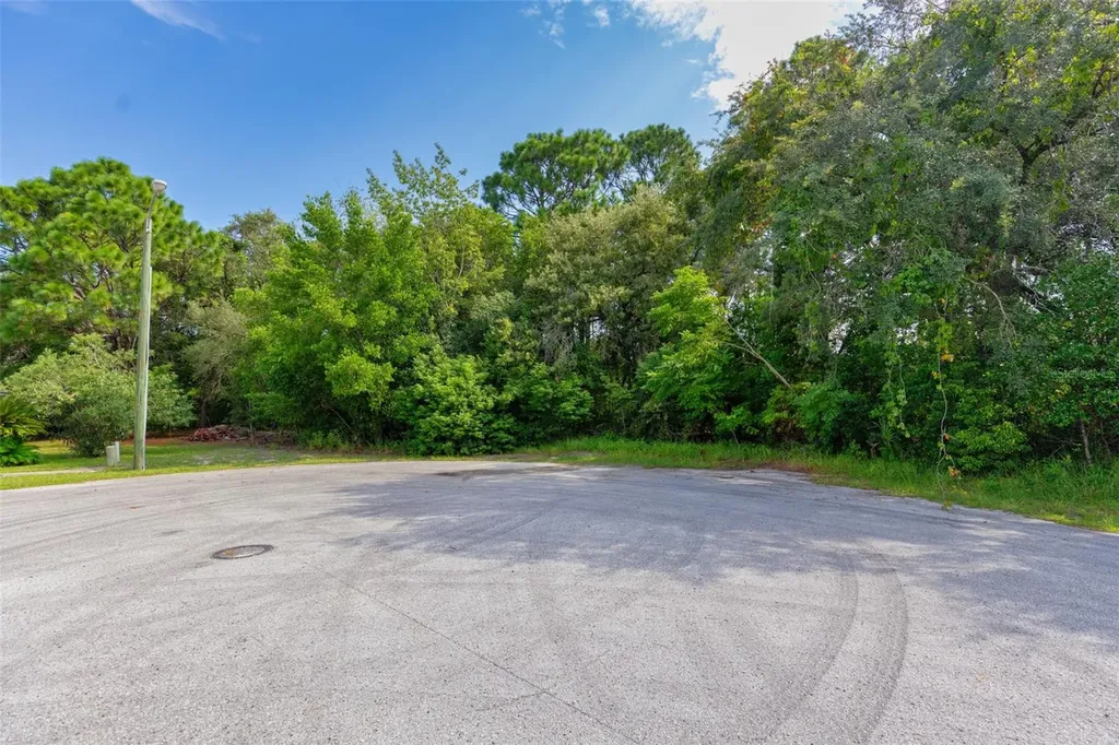 . Lakeview Court Spring Hill FL 34608