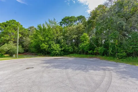 . Lakeview Court Spring Hill FL 34608