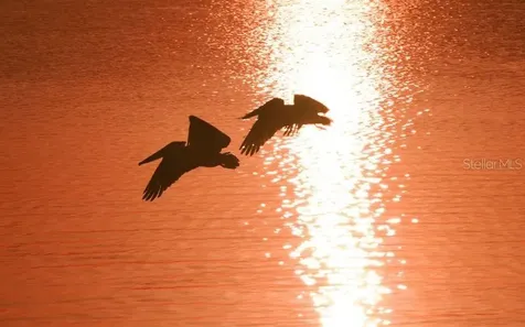 701 Marbury Lane Longboat Key FL 34228