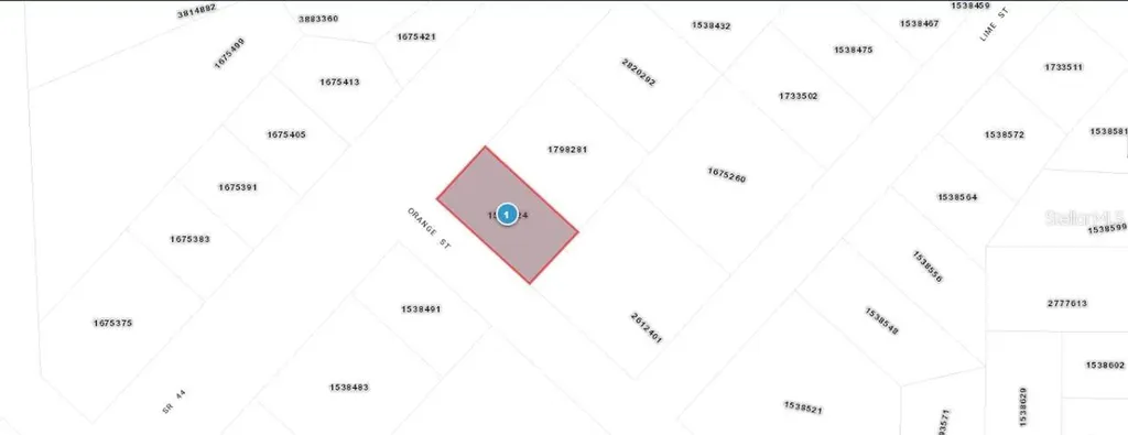 E Orange Avenue Eustis FL 32726