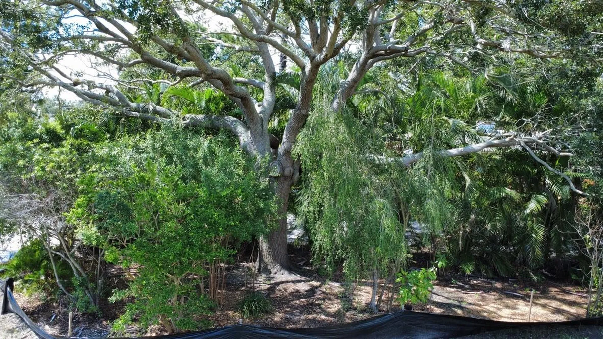 4725 Trade Winds Drive S Gulfport FL 33711