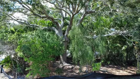 4725 Trade Winds Drive S Gulfport FL 33711