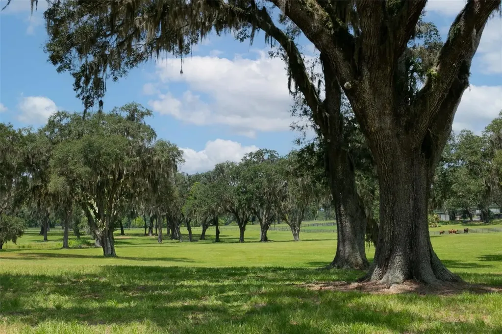 5540 SE 157th Street Road Summerfield FL 34491