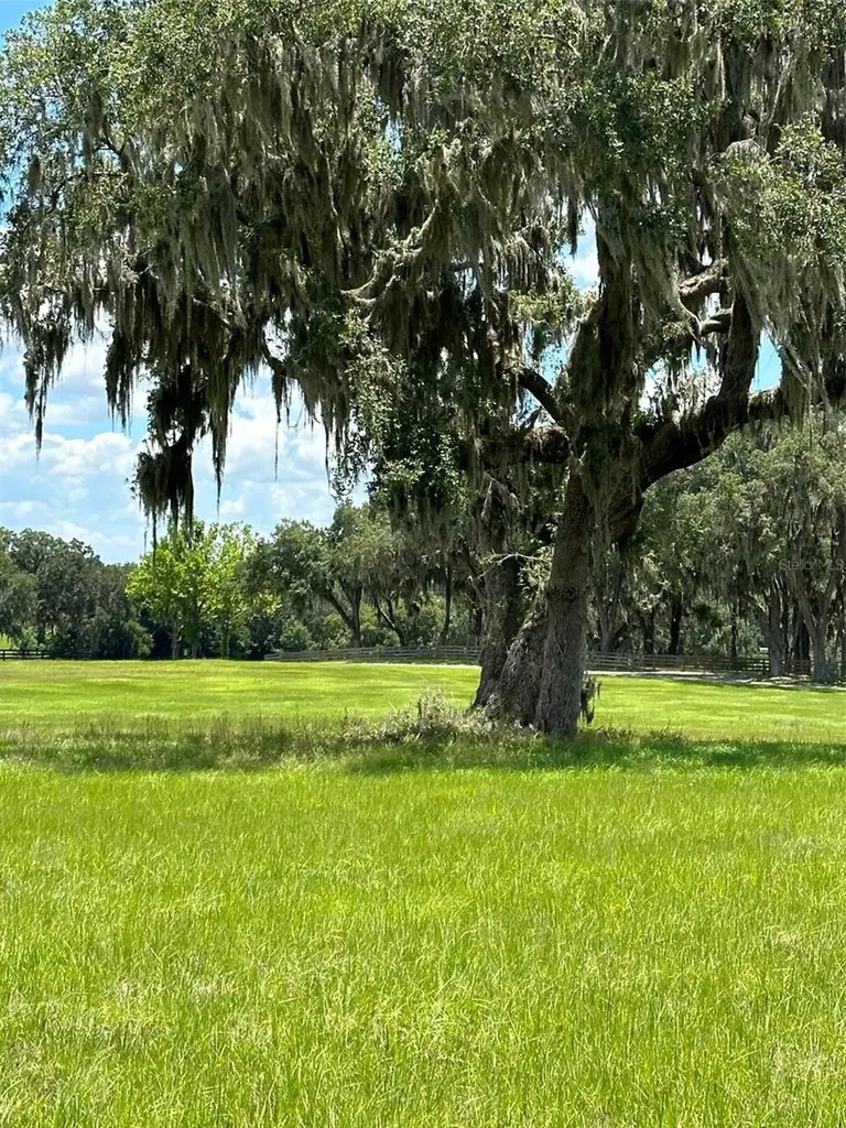 5540 SE 157th Street Road Summerfield FL 34491