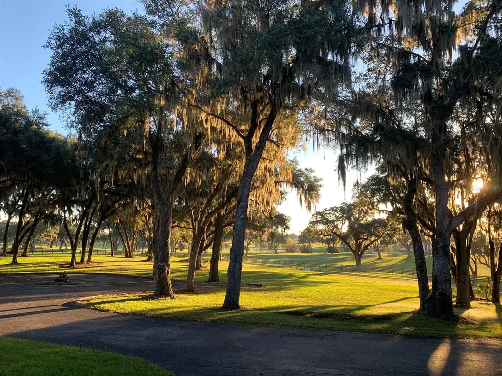 5540 SE 157th Street Road Summerfield FL 34491