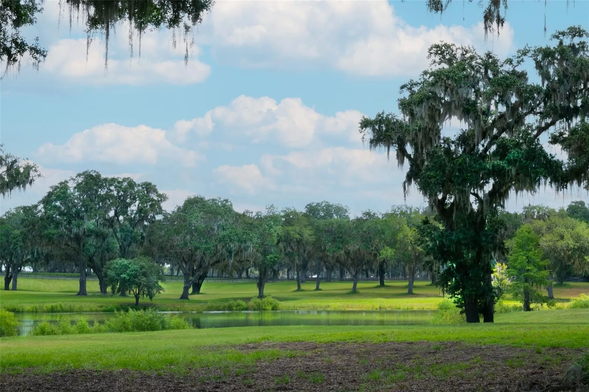 5540 SE 157th Street Road Summerfield FL 34491