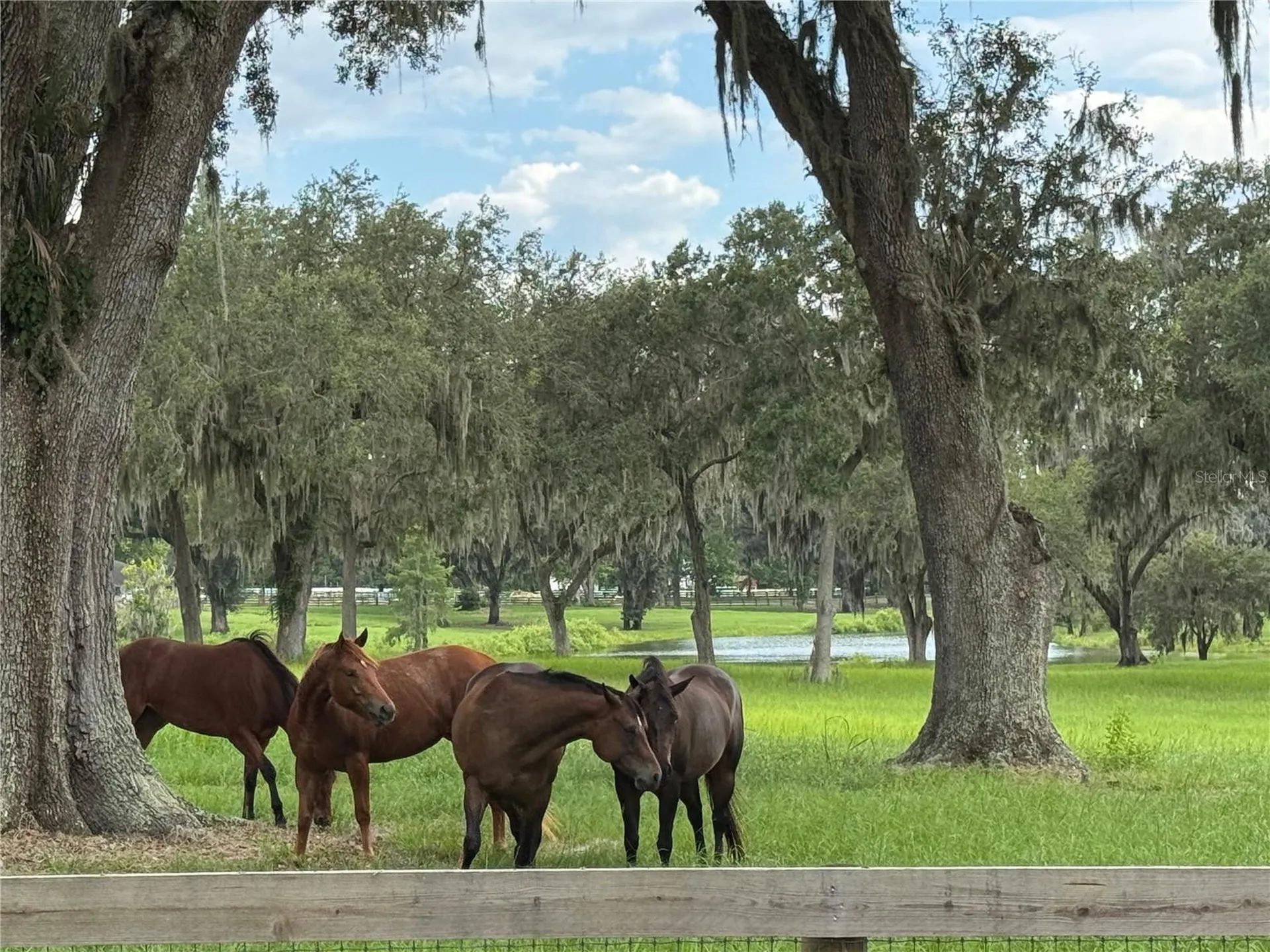 5540 SE 157th Street Road Summerfield FL 34491