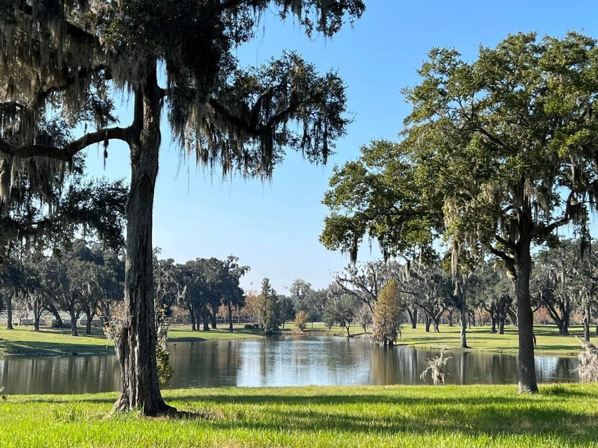 5540 SE 157th Street Road Summerfield FL 34491