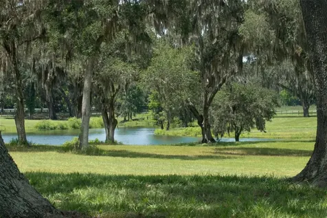 5540 SE 157th Street Road Summerfield FL 34491