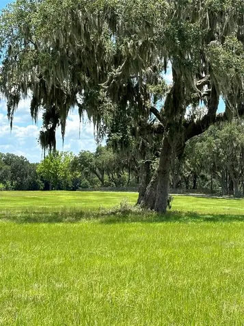 5540 SE 157th Street Road Summerfield FL 34491