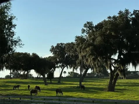 5540 SE 157th Street Road Summerfield FL 34491