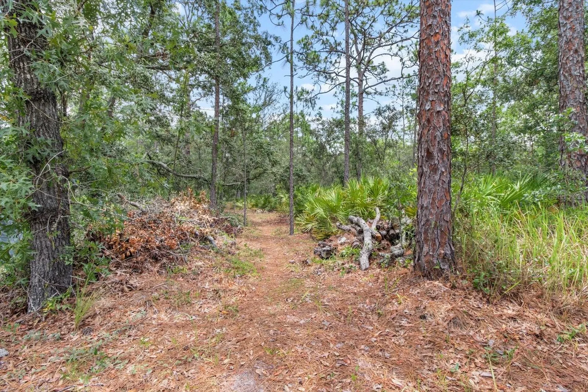 6544 W Mae Homosassa FL 34446