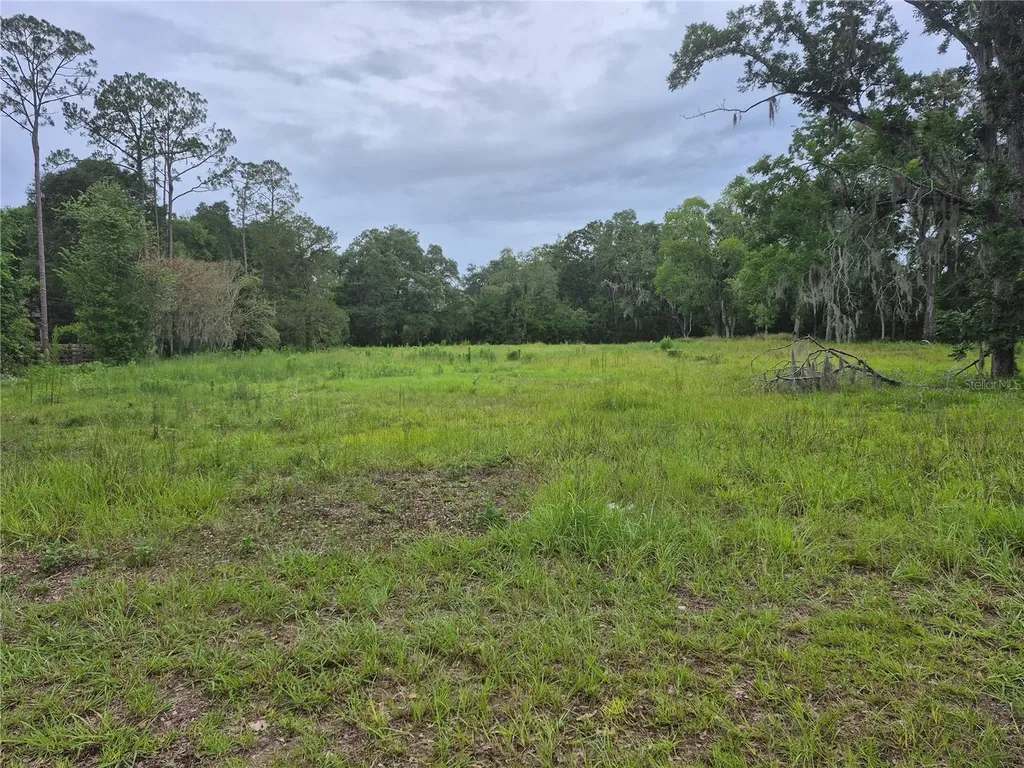 1224 NW 143rd Street Newberry FL 32669