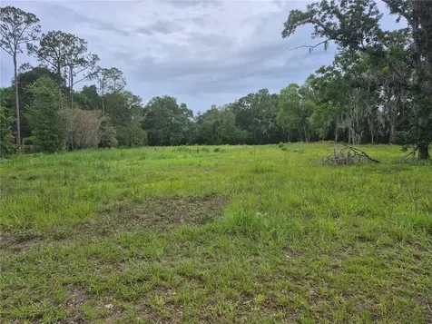 1224 NW 143rd Street Newberry FL 32669
