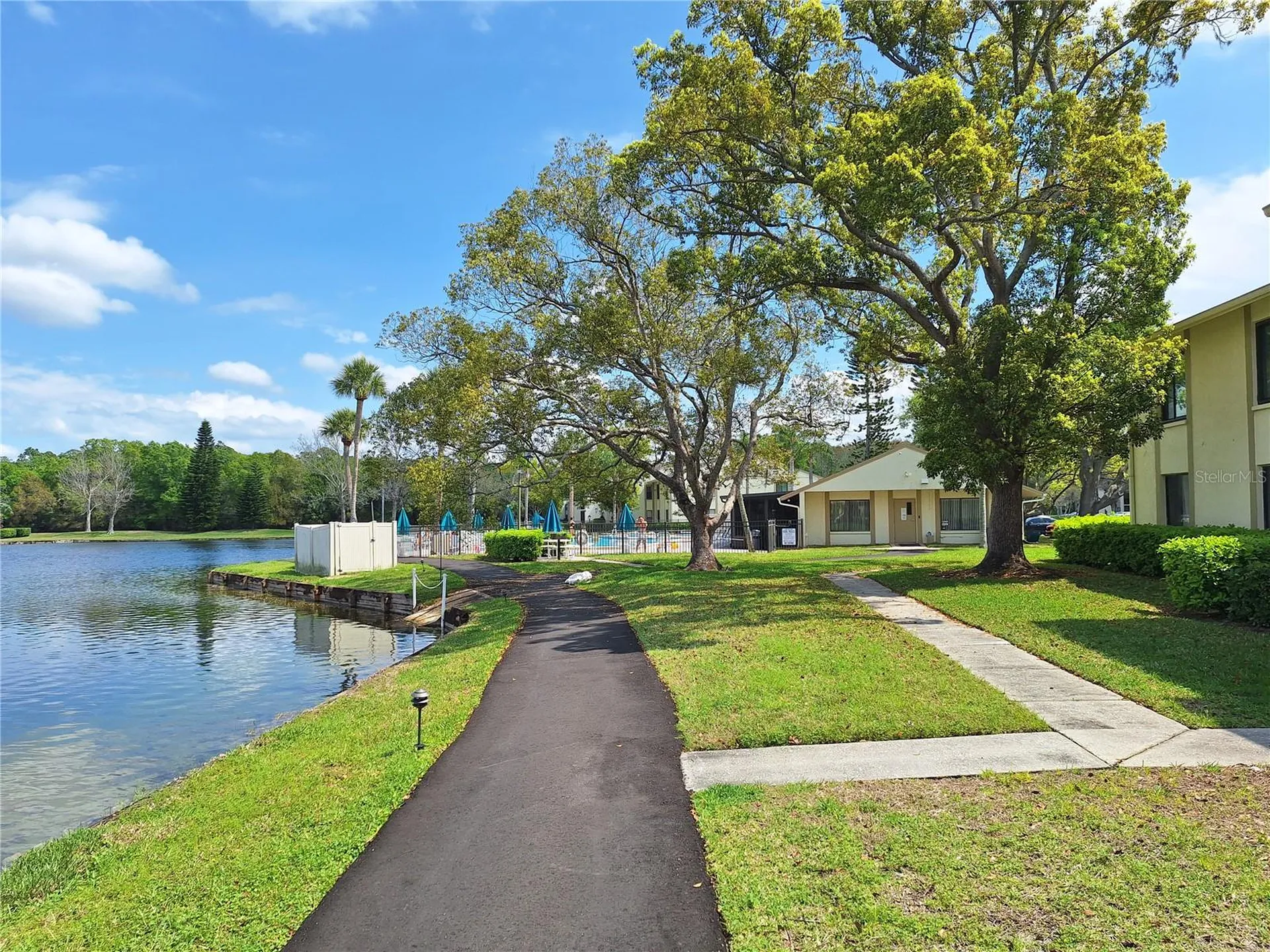3153 Lake Pine Way Tarpon Springs FL 34688