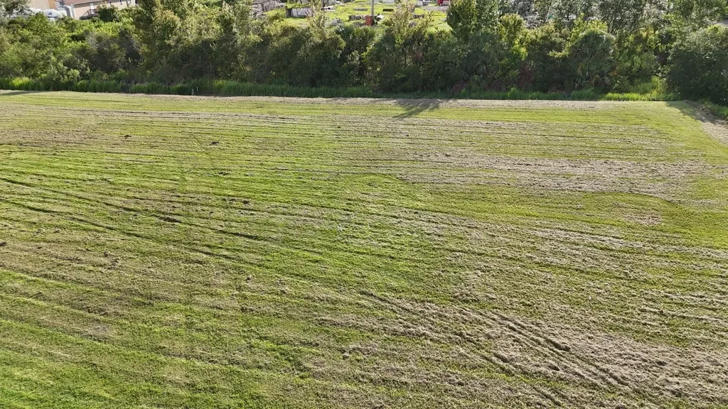 Tbd Whitney Street Mount Dora FL 32757