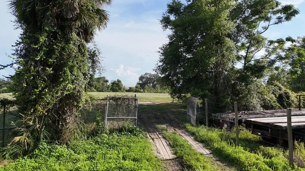 Tbd Whitney Street Mount Dora FL 32757