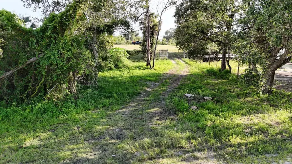 Tbd Whitney Street Mount Dora FL 32757