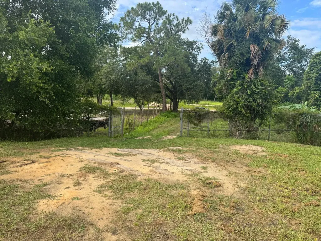 Tbd Whitney Street Mount Dora FL 32757