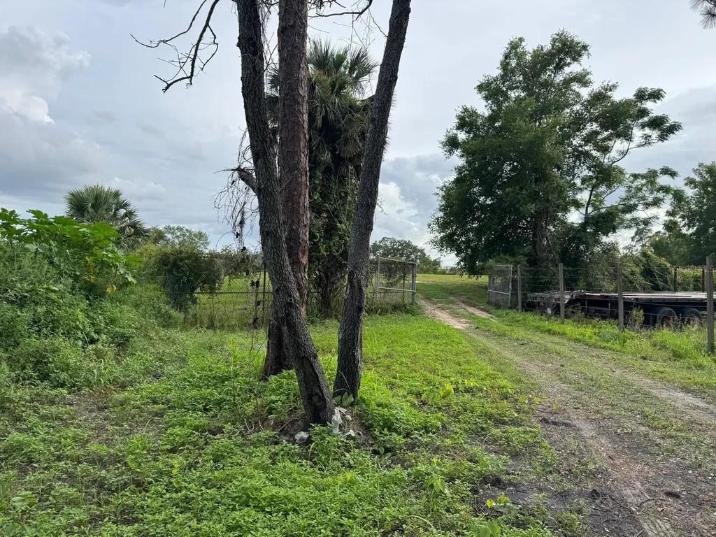 Tbd Whitney Street Mount Dora FL 32757