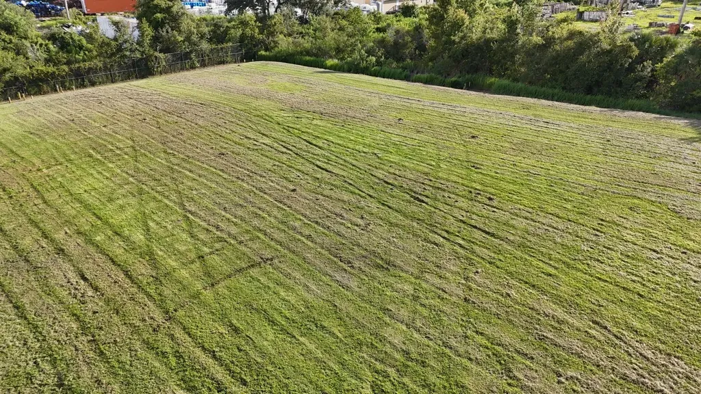 Tbd Whitney Street Mount Dora FL 32757