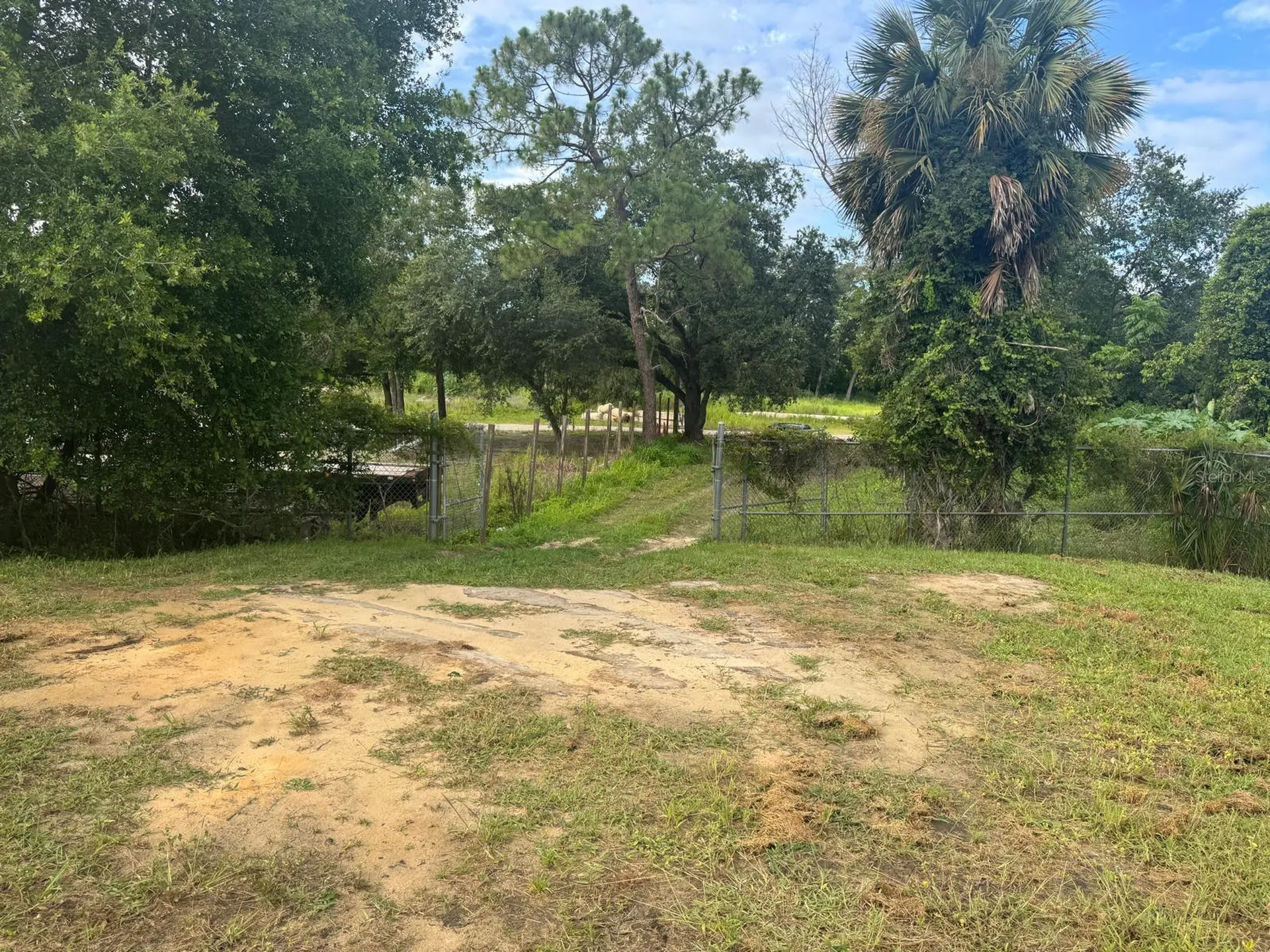 Tbd Whitney Street Mount Dora FL 32757