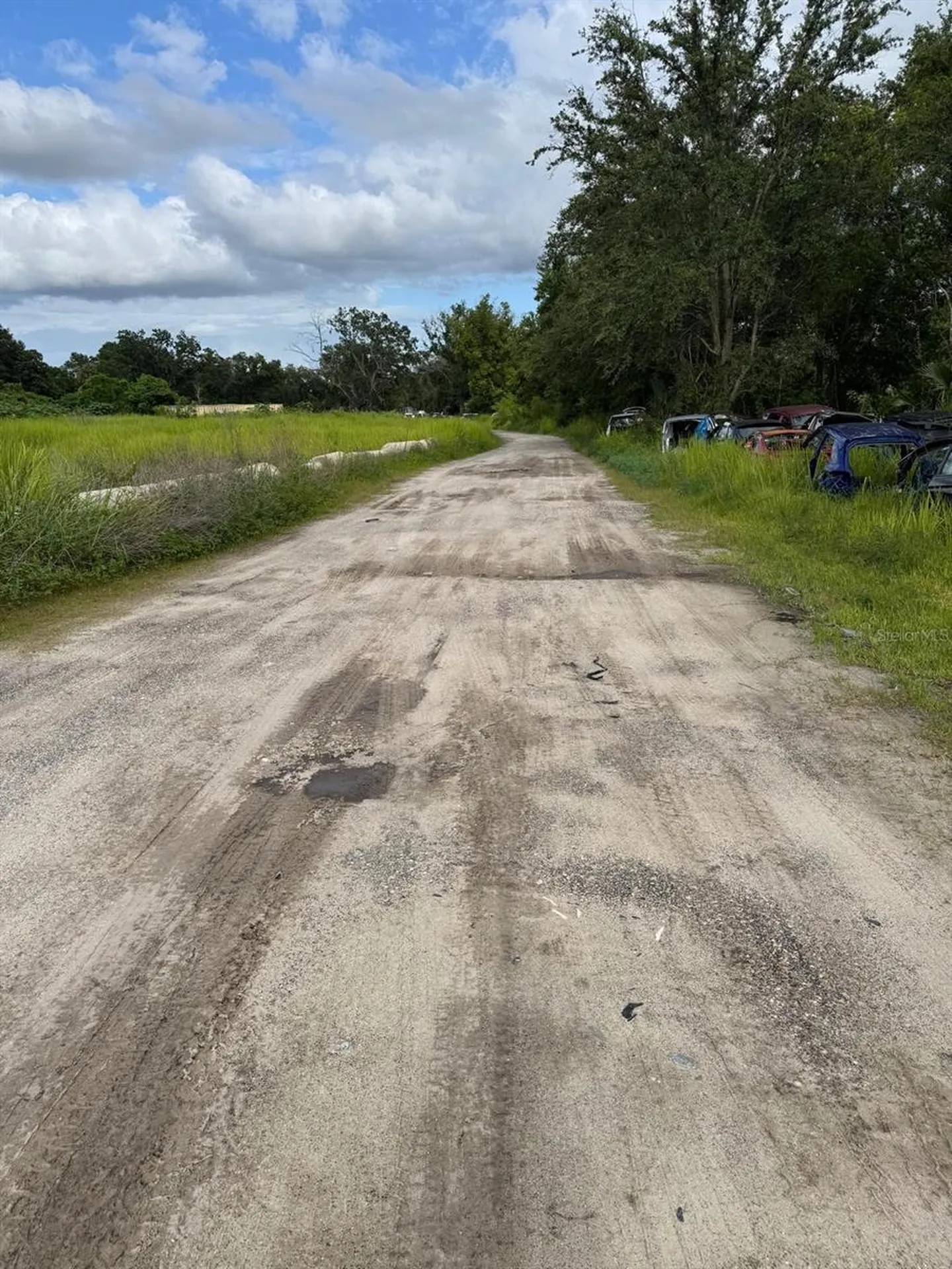 Tbd Whitney Street Mount Dora FL 32757