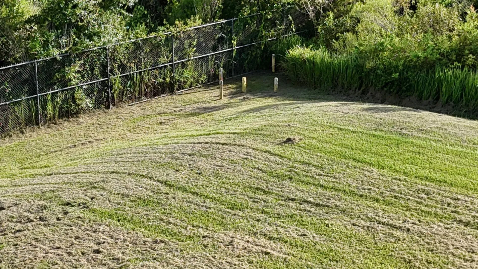 Tbd Whitney Street Mount Dora FL 32757